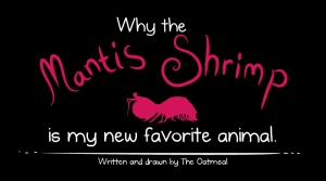 mantis_shrimp_the_oatmeal